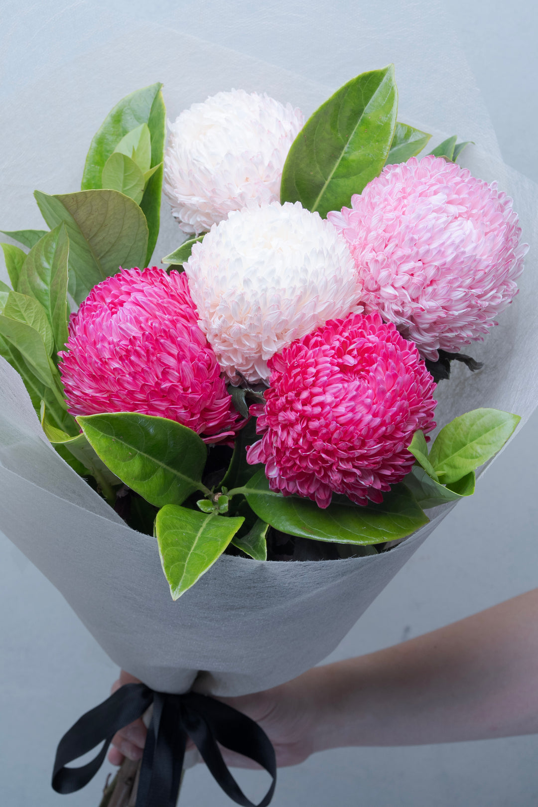 Mega Mum – Mixed Pink Disbud Bouquet | Same Day Flower Delivery Melbourne