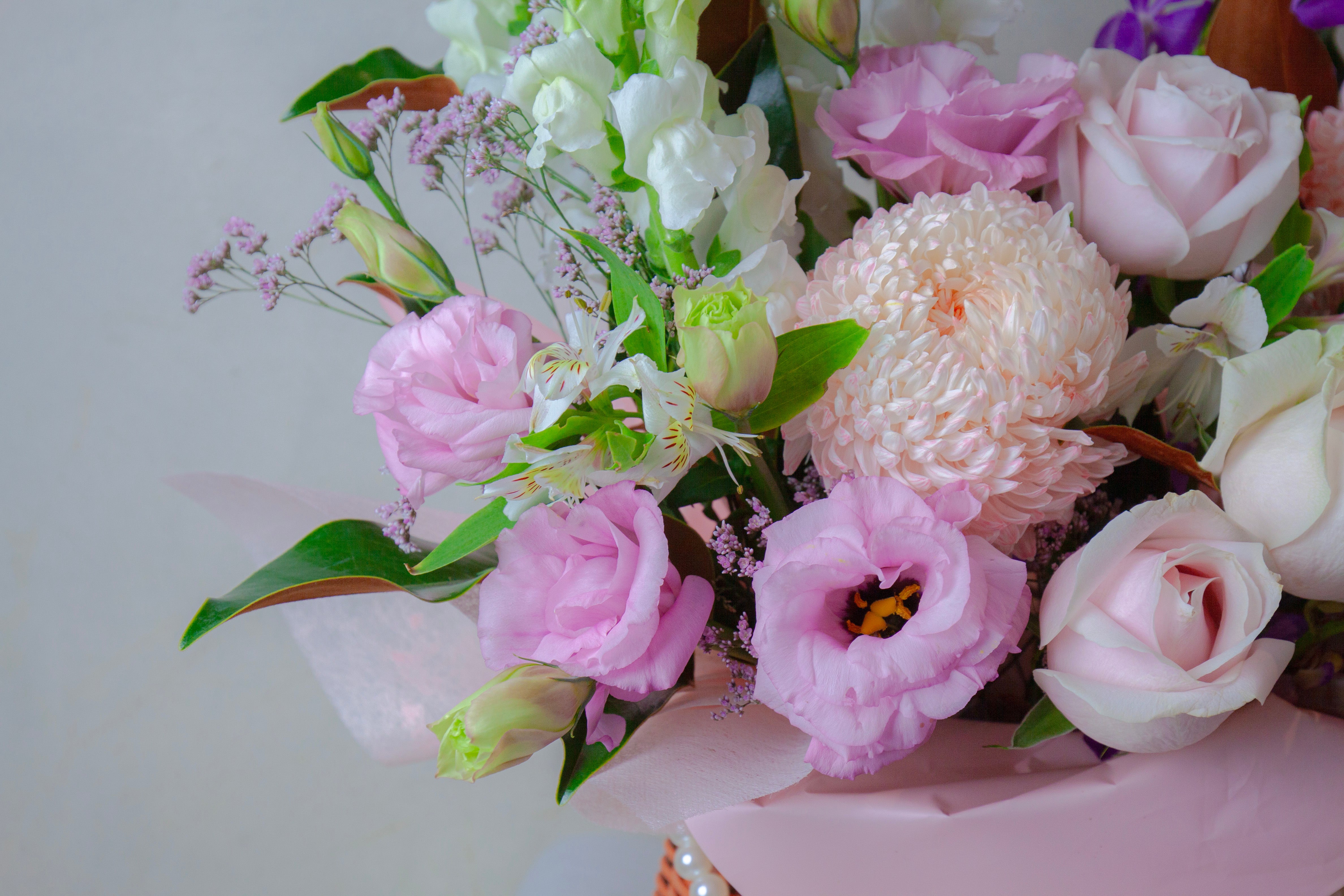 Bouquet of pink, white, and purple flowers with green leaves on a light gray background