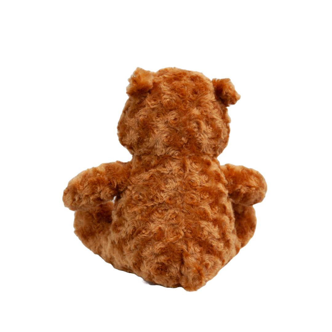 Be Mine Teddy Bear Gift Set