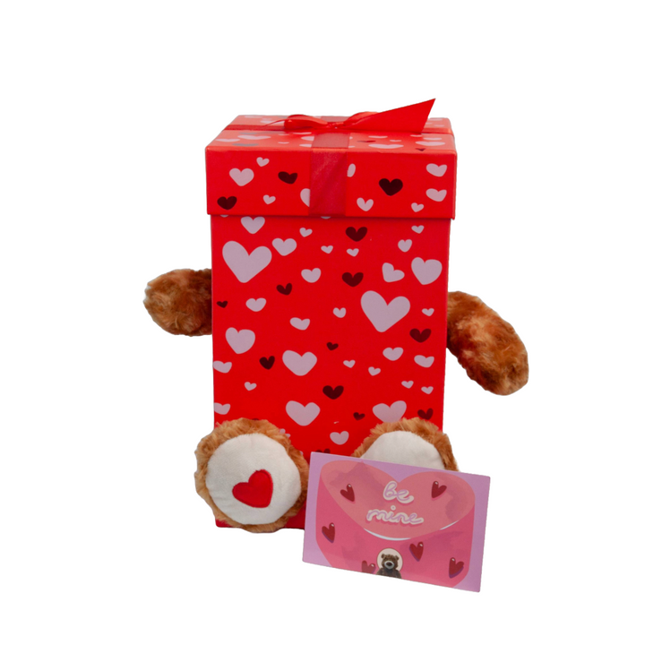 Be Mine Teddy Bear Gift Set