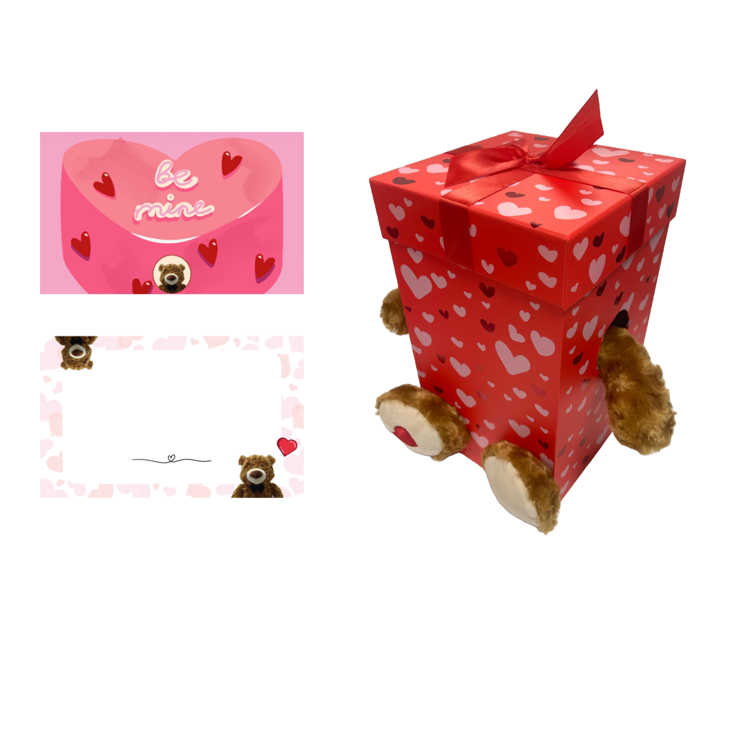 Be Mine Teddy Bear Gift Set
