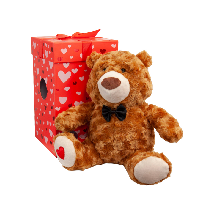 Be Mine Teddy Bear Gift Set