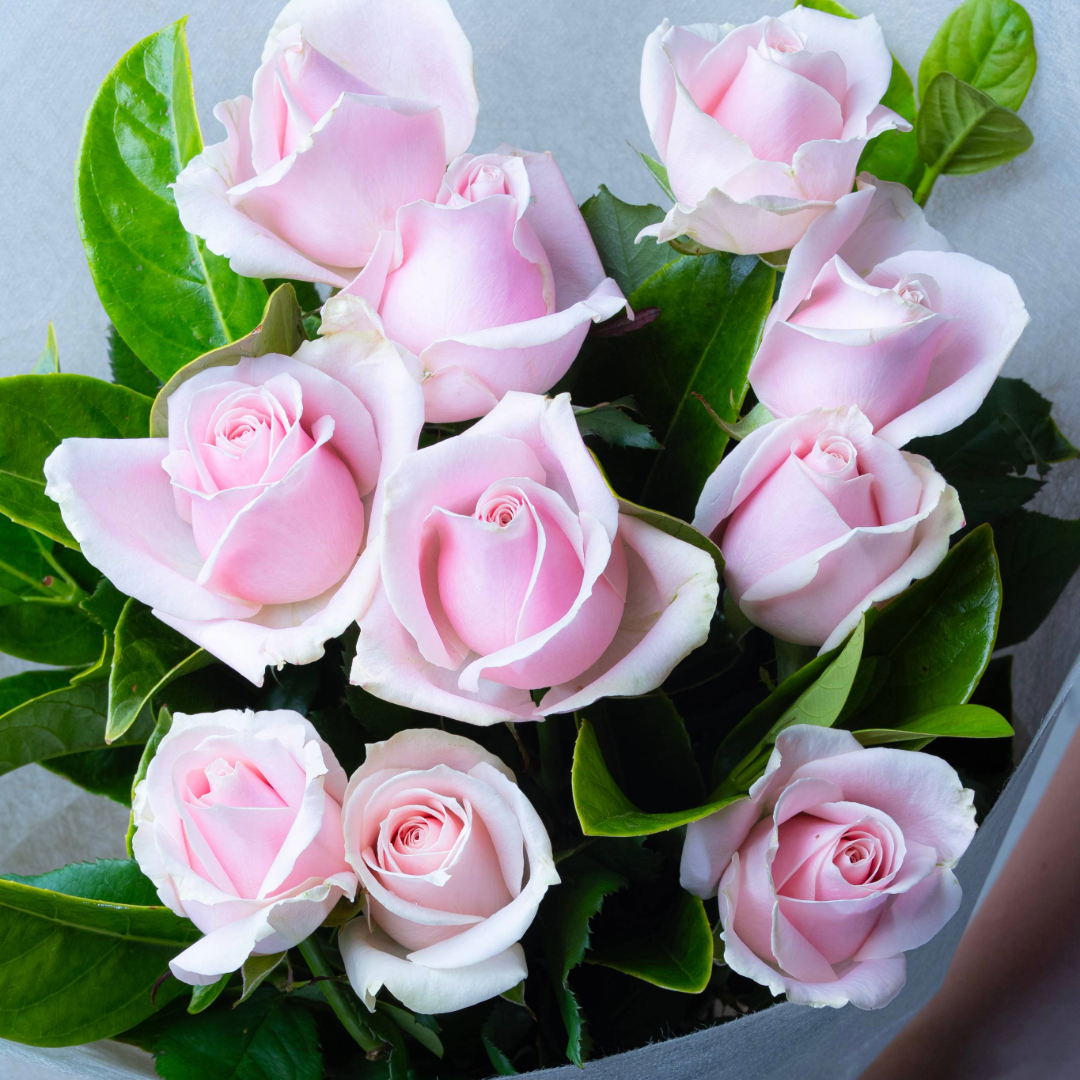 Pink Grace- 10 Soft Pink Rose Bouquet