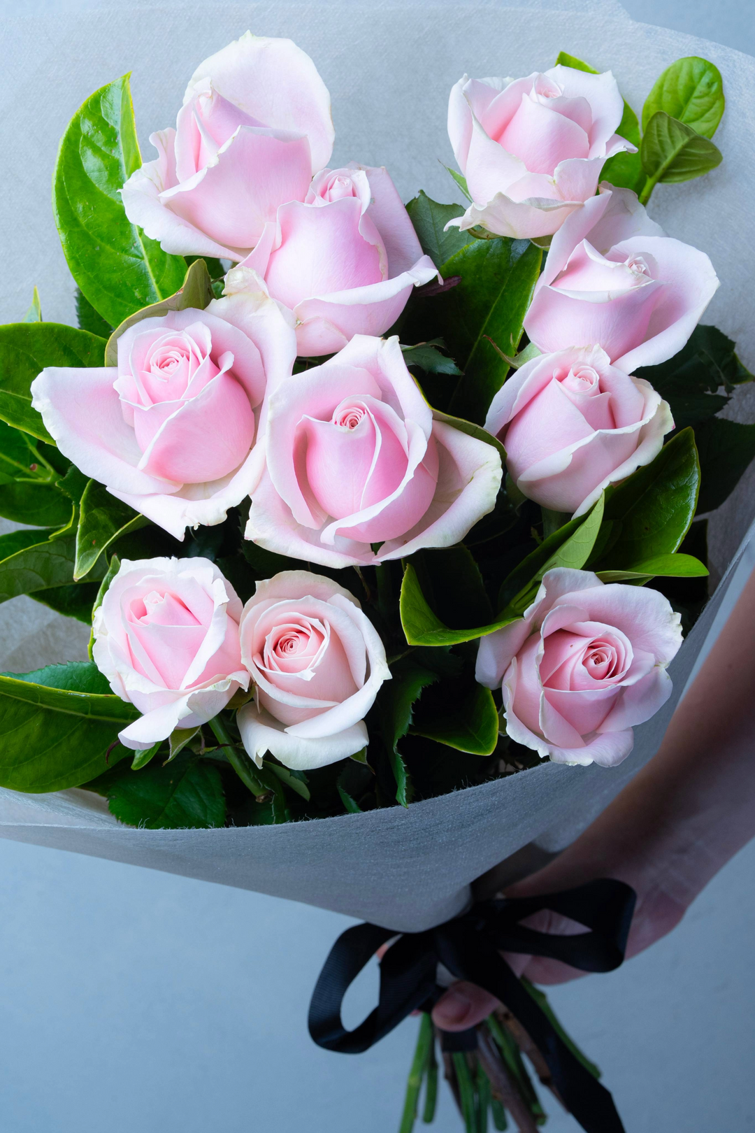 Pink Grace- 10 Soft Pink Rose Bouquet
