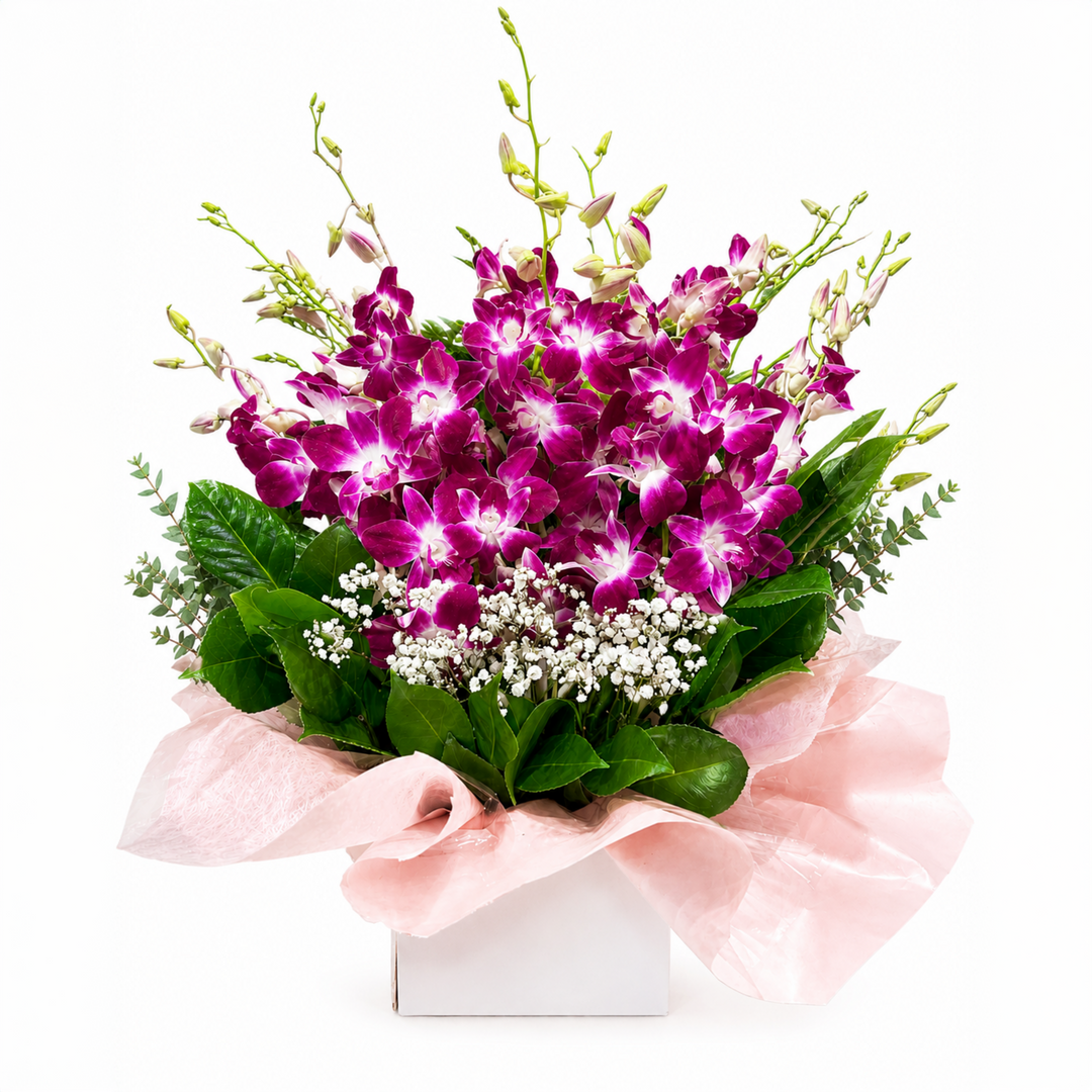 Singapore Orchid Box Arrangement with vibrant purple and pink orchids, fresh foliage, and baby's breath in a white gift box