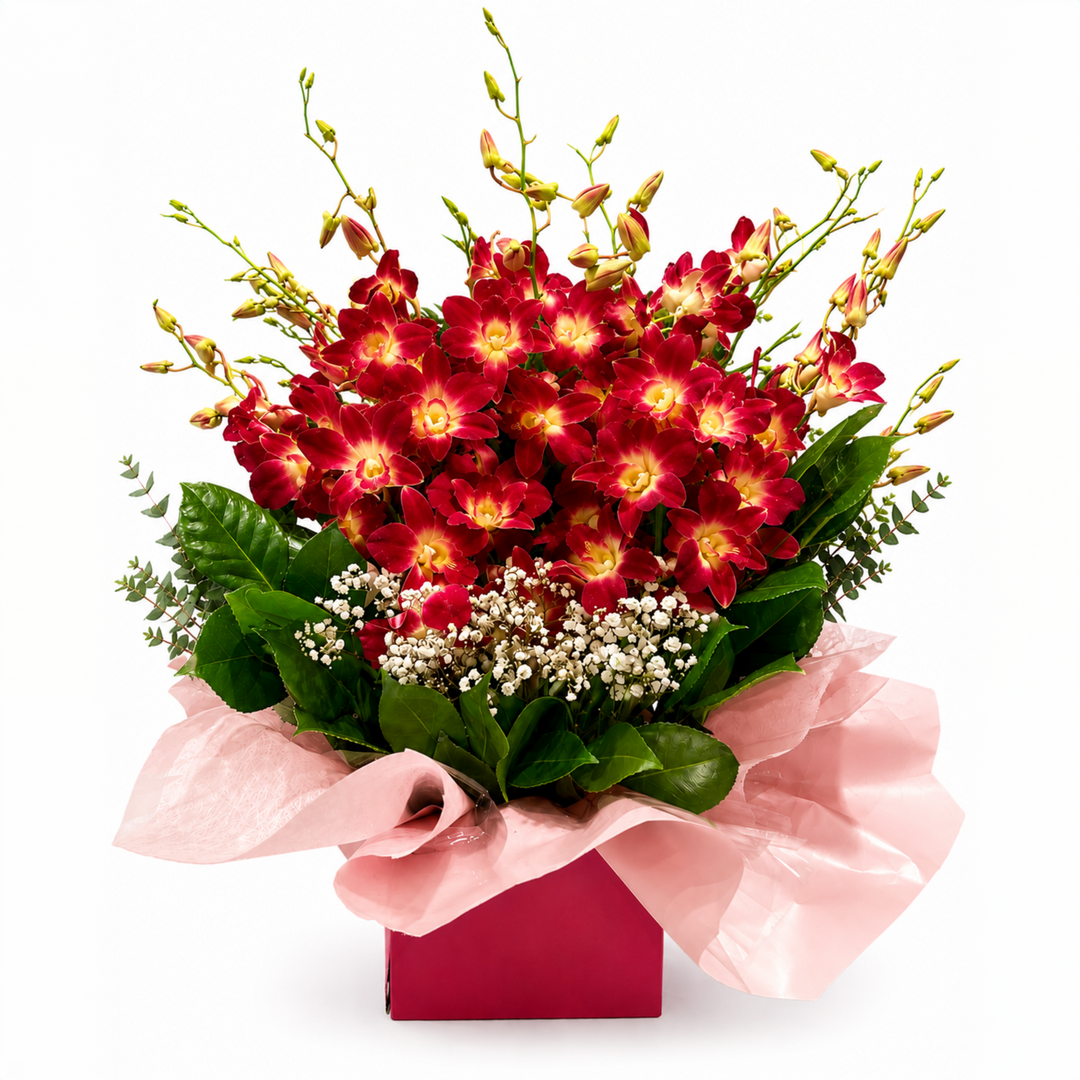 ibrant Tropical Sunrise Singapore Orchid Box Arrangement with magenta and yellow orchids, fresh foliage, and white gift box