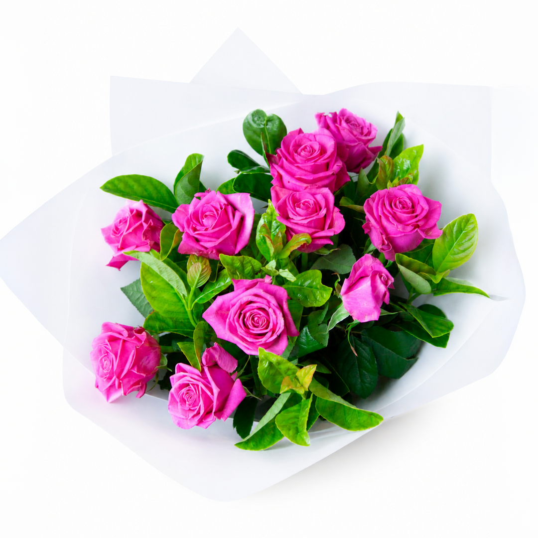 Vivid Love 10 hot pink rose bouquet wrapped in white paper with black ribbon