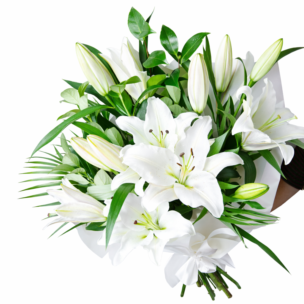 Bouquet of white lilies with green leaves on a white background