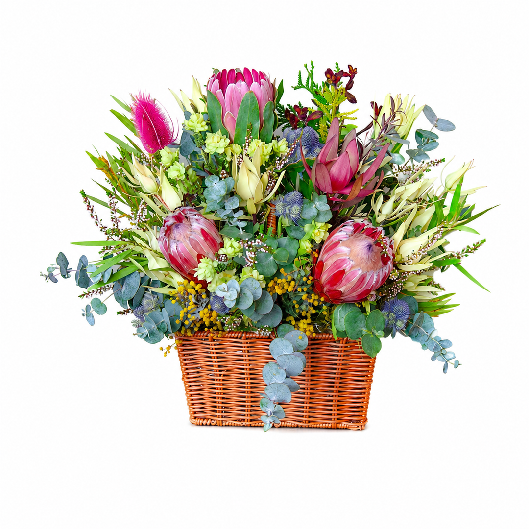 Wild Australia handcrafted native flower basket featuring pink proteas, leucadendrons, and eucalyptus foliage by The Flori Shoppe Melbourne.